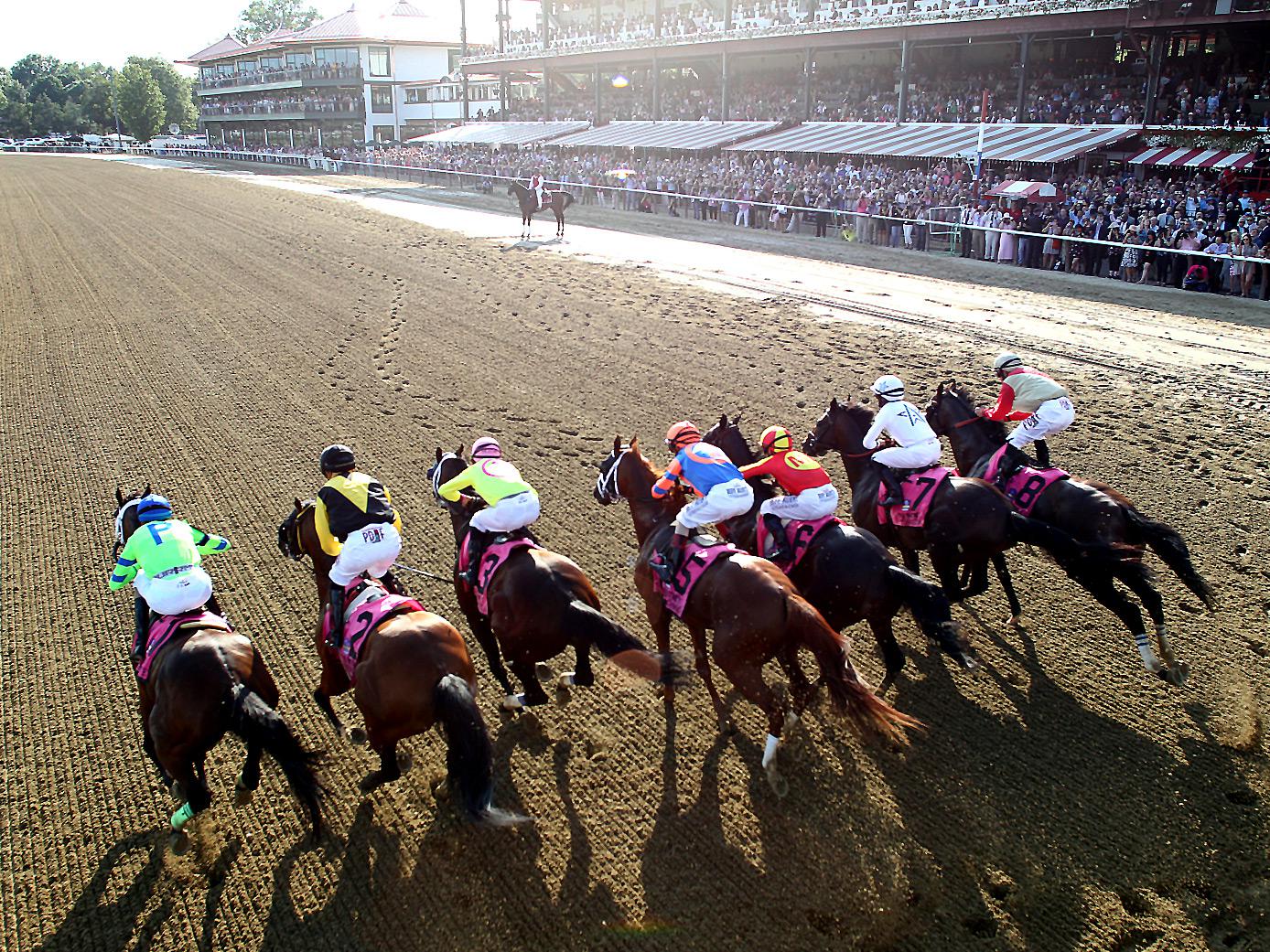 Betting Guide